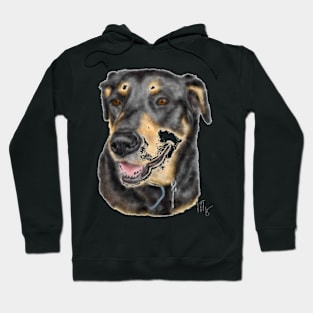 Smiling Rottweiler Pooch Dog Hoodie